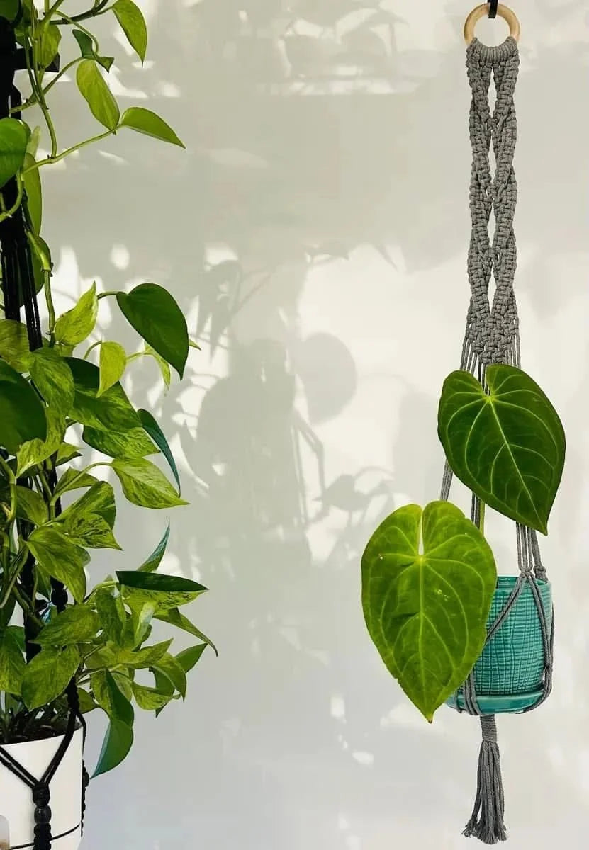 Macramé gris tressé