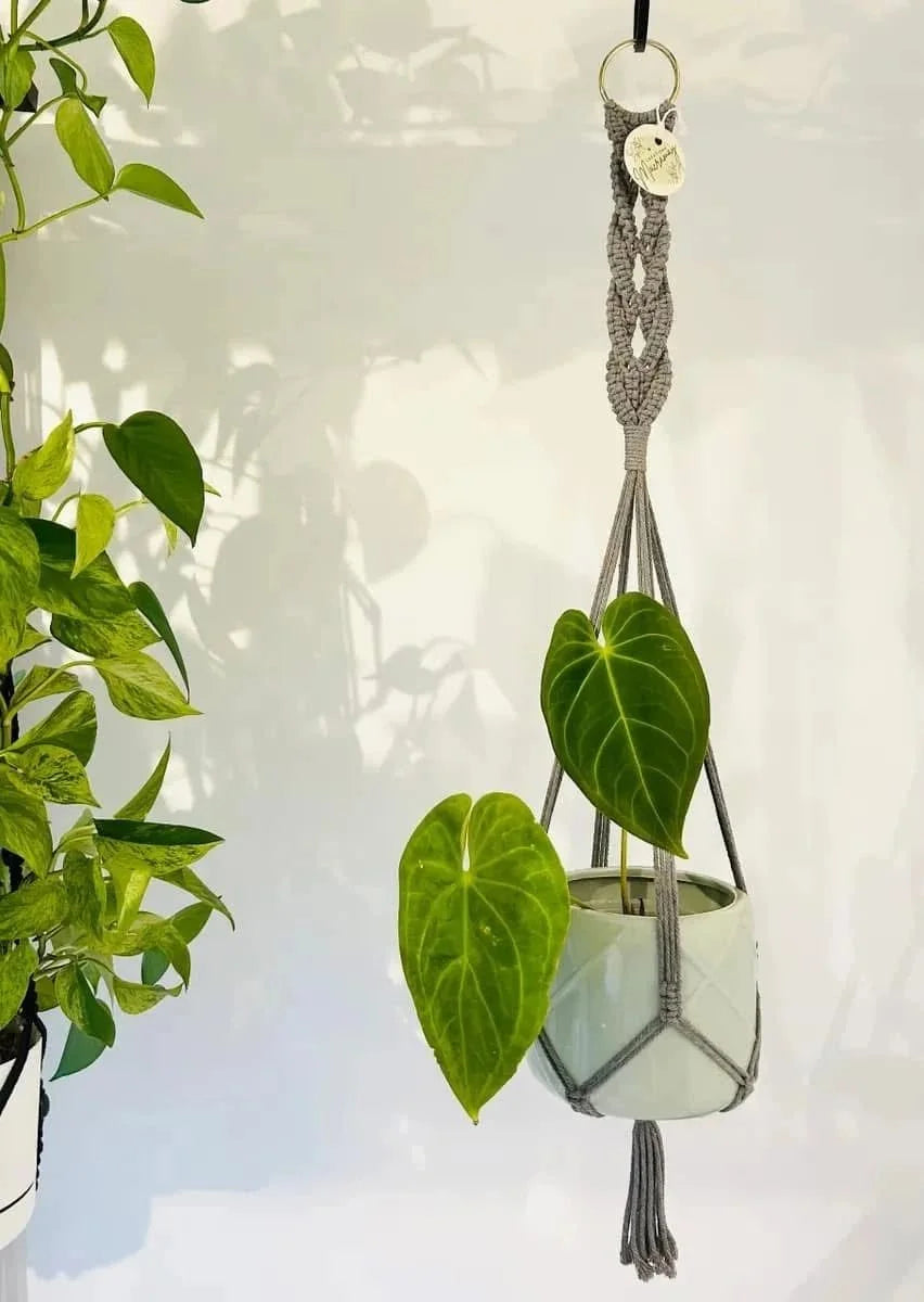 Macramé gris tressé