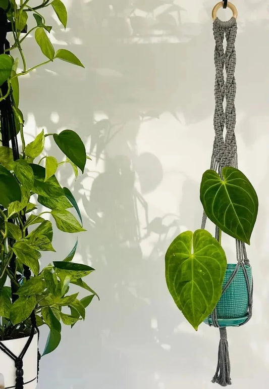 Macramé gris tressé