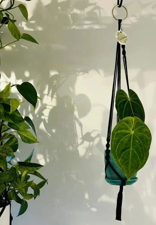 Macramé noir torsadé